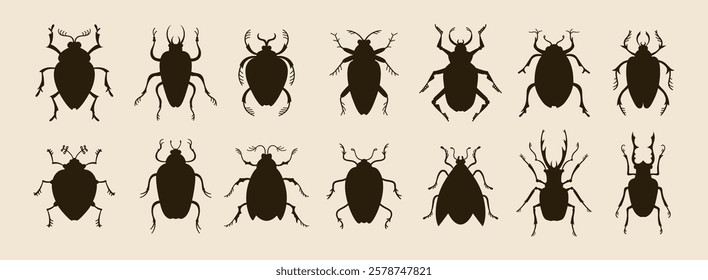 Beetles set whimsical silhouette art insects. Different fantasy shape bugs. Stylized cockroach clipart collection for children. Fancy funny flat vintage figure bugs vector isolated illustrations