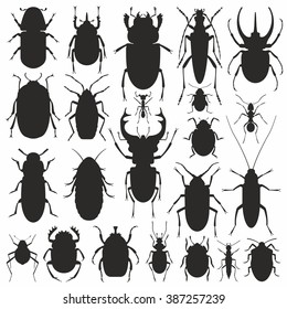 24,945 Beetle Silhouette Images, Stock Photos & Vectors | Shutterstock