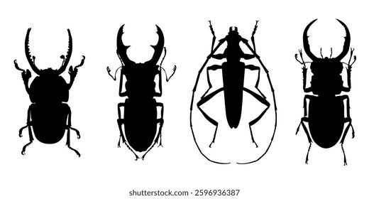 Beetles Silhouettes Set, Insect, Entomology, Collection, Black, Isolated, Vector