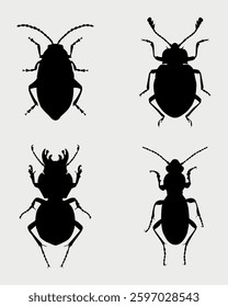 Beetles Silhouettes Set, Insect, Entomology, Collection, Black, Isolated, Vector