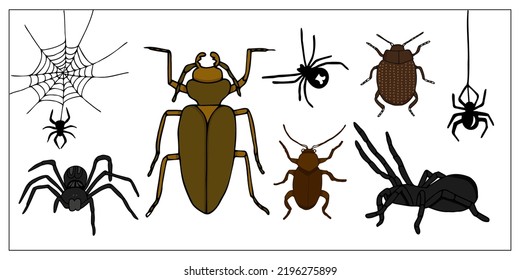 Beetles  and spiders. Set of hand-drawn doodle illustration of insects. Scary and realistic colored bugs and spiders. Halloween decoration.