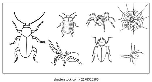 Beetles  And Spiders. Set Of Hand-drawn Doodle Illustration Of Insects. Scary And Realistic Colored Bugs And Spiders. Halloween Decoration.