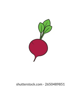 Beetroot with artistic leafy greens juicy purple root flat style Vector illustration