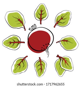 Beetroot and baby mangold leaves. Colorful sketch collection of salad vegetables and herbs isolated on white background. Doodle hand drawn vegetable icons. Vector illustration