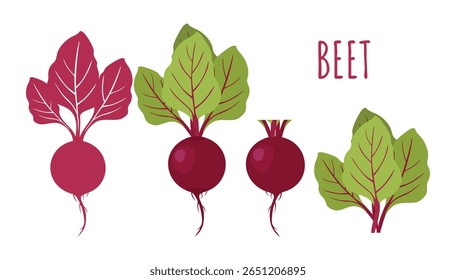 Beterraba, beterraba, coleção de silhueta vermelha, vegetal com folhas, sem tampos e tampos aparados. Ícones, logotipo, plantas de beterraba agrícola, comida húngara. Ilustração vetorial isolada sobre fundo branco.