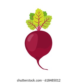 Beetroot. Cartoon flat style. Vegetarian fresh raw food.