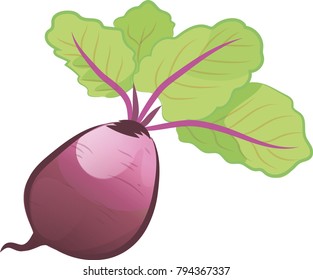 Beetroot. Cartoon flat style. Vegetarian fresh raw food. Vector illustration