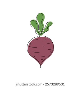 Beetroot, color illustration, hand-drawn in one continuous line, isolated on white, doodle, vector. Modern drawing, vegetable icon, root vegetable, flat design for decoration, labels, decoration.