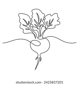 Beetroot in continuous line art drawing style. Garden beet black linear sketch isolated on white background. Vector illustration