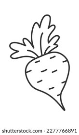 Beetroot cooking ingredient flat icon. Vector illustration