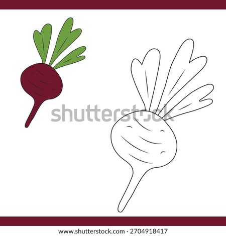 Beetroot Copy Colour worksheet for kids