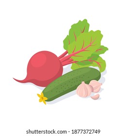 Beetroot cucumber and garlic. Beetroot cucumber and garlic. Vector 3d isometric, color web icons set, new flat style.