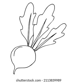 La remolacha en estilo doodle. Libro de colorantes para niños con verduras.