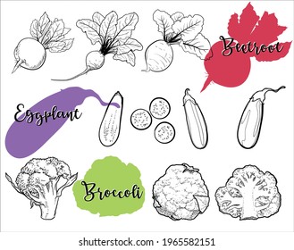 Beetroot, eggplant, broccoli, hand drawn illustration on white, creative ideas, healthy food.
