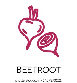 Beetroot fat line vegetable icon, vector illustration