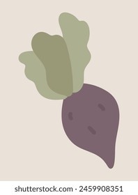 Beetroot in flat design. Natural beet vegetable from farming garden. Vector illustration isolated.