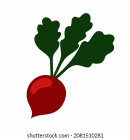 Beetroot in a flat style on a white background. Vector illustration