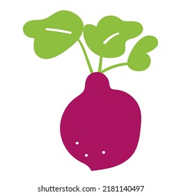 Beetroot. Flat vector hand drawn illustration on white background.