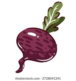 Beetroot fresh vegetable food, whole raw beet with leaves, red root crop ingredient, organic beetroot for cooking and cuisine, natural farm produce, cartoon vector illustration