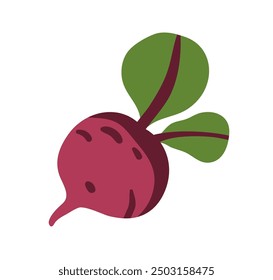 Beetroot, fresh vegetable with green leaves. Organic natural farm agriculture crop, sugar beet root icon. Purple tuber, healthy eating. Flat graphic vector illustration isolated on white background