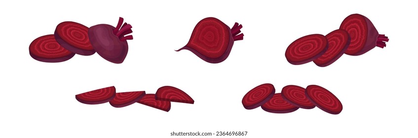 Juego de vectores de remolacha o de jardín