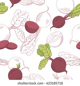 Beetroot graphic vegetable color seamless pattern sketch illustration vector