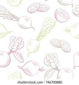 Beetroot graphic vegetable color seamless pattern sketch illustration vector