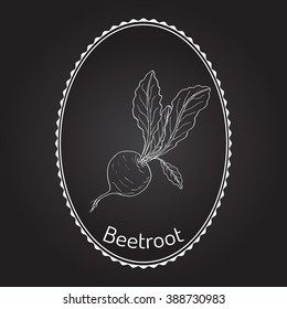 Beetroot with green leaves.  Vector illustration.
