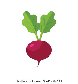 
Beterraba com topos verdes ilustração vetor plana isolada no fundo branco.