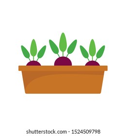 Beetroot in ground pot icon. Flat illustration of beetroot in ground pot vector icon for web design