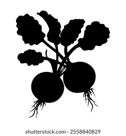 Beetroot hand drawn in doodle style. Ripe fruit vegetable. Vegetarian healthy food. Root plant. Natural economy. Farm product. Vector line art illustration.