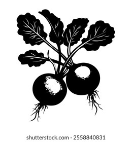 Beetroot hand drawn in doodle style. Ripe fruit vegetable. Vegetarian healthy food. Root plant. Natural economy. Farm product. Vector line art illustration.