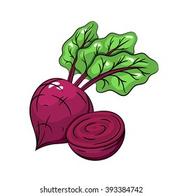 Beetroot hand drawn illustration isolated on a white background - stock vector