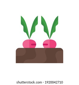 Beetroot, Harvest, Garden Flat Icon Logo Illustration Vector Isolated. Spring and Season Icon-Set. Suitable for Web Design, Logo, App, and UI.