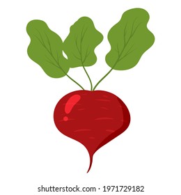 Beetroot healthy organic nutrition product. Vector cartoon flat trendy illustration hand drawn isolated