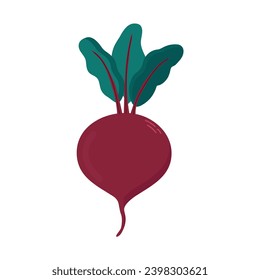 Beetroot icon clipart avatar logotype isolated vector illustration