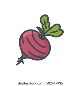 Beetroot icon food vegetables colored