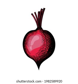 Beetroot Icon. Hand Drawn Sketch Design. Vector Illustration.