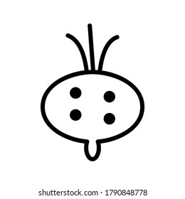 Beetroot icon or logo isolated sign symbol vector illustration - high quality black style vector icons
