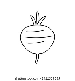 Beetroot icon. Outline beet vector icon for web design