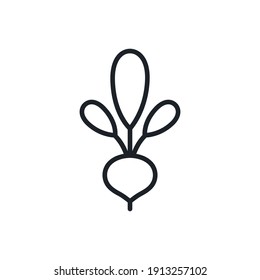 Beetroot icon. Vector linear icon, contour, shape, outline isolated on a white background. Thin line. Modern minimalistic design. Vegetables