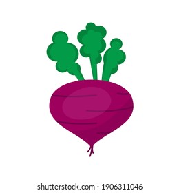 Beetroot Icon White Background Flat Style Print Web Design