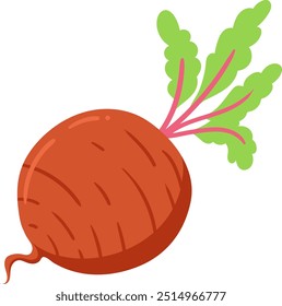 beetroot illustration flat style for card website, application, printing, document, poster design, etc.