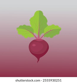 beetroot illustration on gradient color background