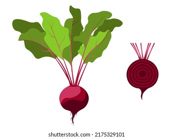 La remolacha está aislada en un fondo blanco. Ilustración de verduras para vegetarianos. Elementos gráficos de la cosecha.