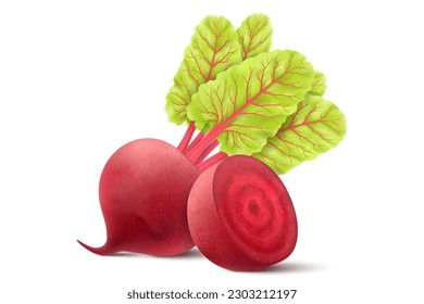 La remolacha está aislada en un fondo blanco. Abeja roja fresca entera y media con hojas. Ilustración vectorial 3d realista de la comida vegetariana. La comida es deliciosa para ensaladas, sopas, borscht.