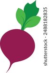 Beetroot, also known as red beet, table beet, garden beet, or just beet, is a root vegetable that belongs to the Chenopodiaceous family. 