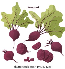 beetroot large set, beetroot cut in different ways, beet rings, cubes, green leaves, vector illustration in cartoon style