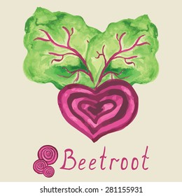 Beetroot with leaf. Hand drawn watercolor label with text on vector illustration.