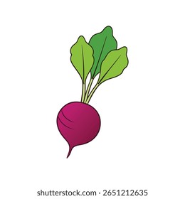 Beterraba com topos frondosos em negrito colorido liso vegetal arte Vetor ilustração